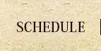 スケジュール