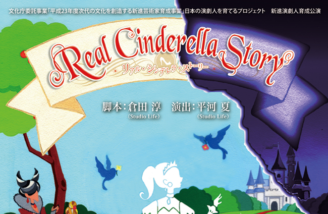 『Real Cinderella Story』